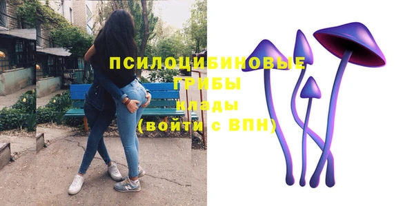 бошки Алзамай