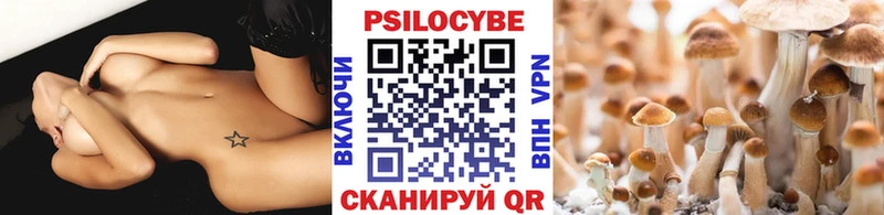 Галлюциногенные грибы прущие грибы  Вихоревка 